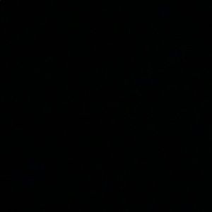 Meet your Posher, Maddy